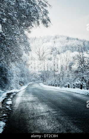 Gelido inverno strada in discesa attraverso il bosco Foto Stock