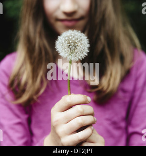 Una ragazza di 10 anni in possesso di un orologio di tarassaco seedhead su un gambo lungo Foto Stock