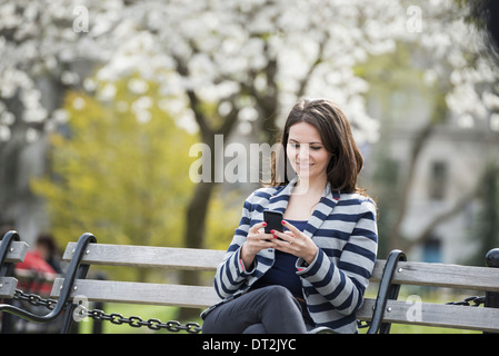 Primavera tempo di New York City Park fiori bianchi su alberi di una donna seduta su una panchina mentre tiene il suo telefono cellulare Foto Stock