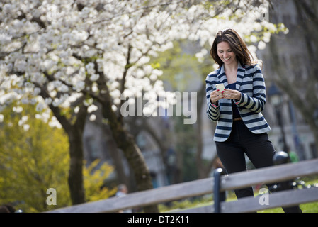 All'aperto nella città in primavera tempo New York City Park fiori bianchi su alberi di una donna in piedi controllando il suo telefono cellulare Foto Stock