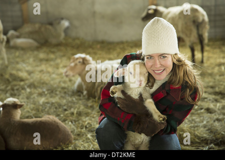 Un agriturismo biologico in inverno in Cold Spring nello Stato di New York una famiglia lavorando la cura per il bestiame di una donna che tiene una piccola agnello Foto Stock