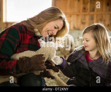 Un agriturismo biologico in inverno in Cold Spring dello Stato di New York di svernamento di bestiame di una donna e di un bambino accarezzare un piccolo agnello Foto Stock