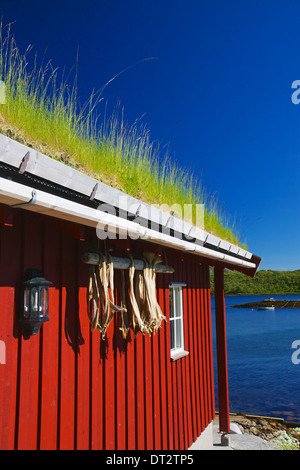 Dettaglio di un tradizionale norvegese Capanna di pesca con secchi stoccafisso pezzi appesi al muro rosso Foto Stock