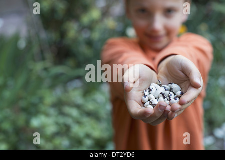 Un giovane ragazzo tenendo fuori una manciata di fagioli secchi Foto Stock