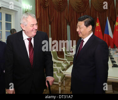 Sochi, Russia. 7 febbraio, 2014. Il presidente cinese Xi Jinping (R) incontra il Presidente ceco Zeman a Sochi, Russia, Febbraio 7, 2014. © Hongguang Lan/Xinhua/Alamy Live News Foto Stock