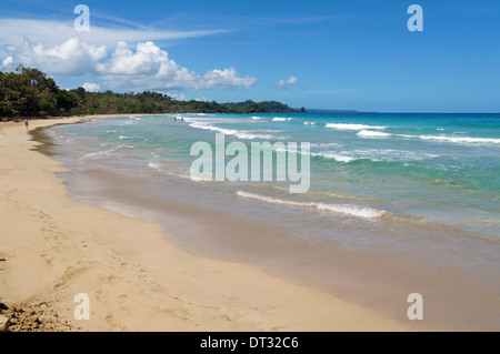 Rana rossa in spiaggia sulla Costa Caraibica di Panama, isola Bastimentos, arcipelago di Bocas del Toro Foto Stock