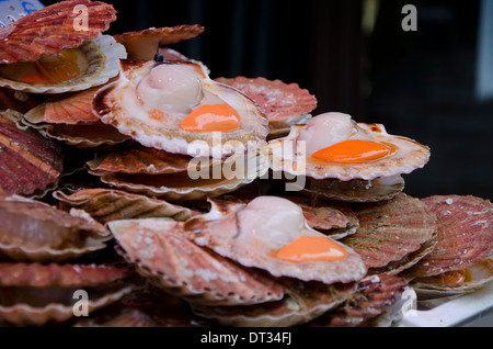 Fresco di capesante live sul display sul mercato di Parigi, Francia. Foto Stock