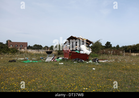 Un campo in Stoke Poges disseminata di lettiera, Buckinghamshire Foto Stock