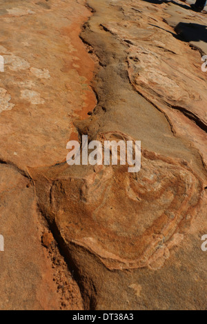 Fossili di dinosauro impronta su strippato a strati di roccia arenaria, Southern Utah Foto Stock