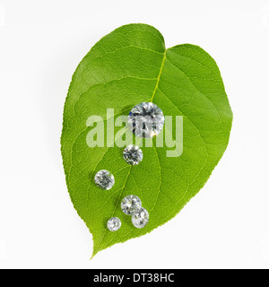 Una foglia con pattern di vena con un bicchiere piccolo oggetti riflettenti, o di gemme, gioiello scintillante di taglio. Foto Stock