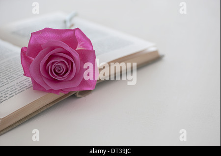 Rosa rosa su un libro sul tavolo bianco e lo sfondo Foto Stock