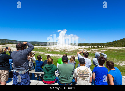 I turisti a guardare l'Eruzione del geyser Old Faithful, Upper Geyser Basin, il Parco Nazionale di Yellowstone, Wyoming USA Foto Stock