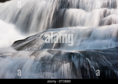 Cascata, nonno Mountain State Park, North Carolina, STATI UNITI D'AMERICA Foto Stock