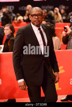 Berlino, Germania, 7 febbraio, 2014. Forest Whitaker assiste il "Due uomini in città" Premiere presso la 64Berlinale annuale Festival Internazionale del Film alla Berlinale Palast il 7 febbraio 2014 a Berlino, Germania. Credito: Janne Tervonen/Alamy Live News Foto Stock