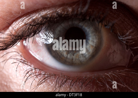 Primo piano di un occhio Foto Stock