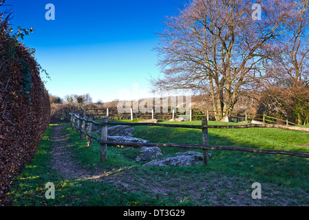 Il Coldrum Long Barrow, noto anche come le pietre Coldrum, sono i resti di un chambered long barrow Foto Stock