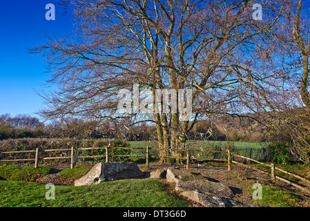 Il Coldrum Long Barrow, noto anche come le pietre Coldrum, sono i resti di un chambered long barrow Foto Stock