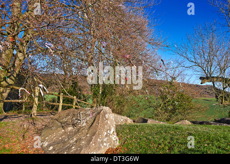 Il Coldrum Long Barrow, noto anche come le pietre Coldrum, sono i resti di un chambered long barrow Foto Stock