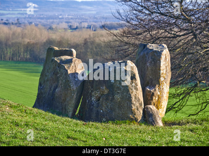 Il Coldrum Long Barrow, noto anche come le pietre Coldrum, sono i resti di un chambered long barrow Foto Stock