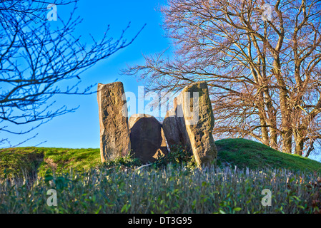 Il Coldrum Long Barrow, noto anche come le pietre Coldrum, sono i resti di un chambered long barrow Foto Stock