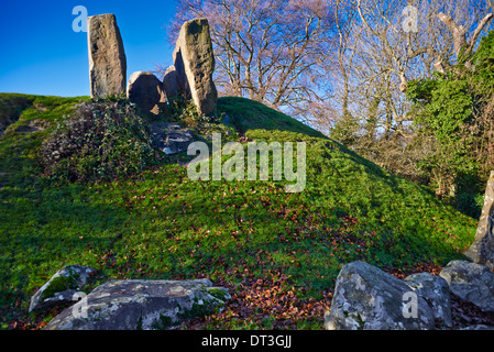 Il Coldrum Long Barrow, noto anche come le pietre Coldrum, sono i resti di un chambered long barrow Foto Stock