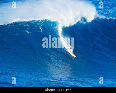 Extreme surfer equitazione onda gigante Foto Stock