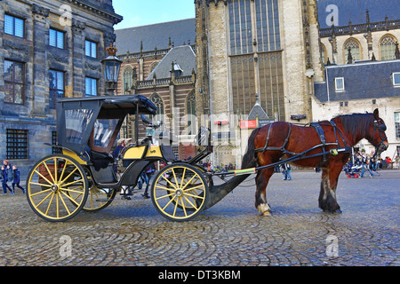 Cavallo e Carrozza in Piazza Dam dando gite e visite guidate per il turista ad Amsterdam, Olanda Foto Stock