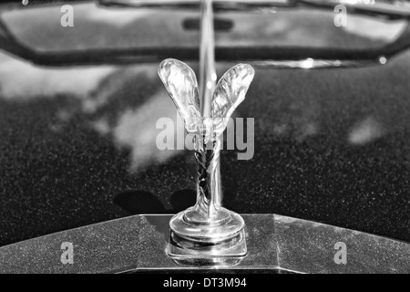 Il famoso emblema "acquavite di ecstasy" su una Rolls-Royce Corniche Foto Stock