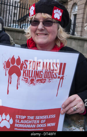 Londra, Regno Unito. 8 febbraio 2014. Una donna proteste al di fuori di Downing Street contro la macellazione disumane e di abbandono dei cani randagi in alcuni rumeno ricoveri animali. Credito: Paolo Davey/Alamy Live News Foto Stock