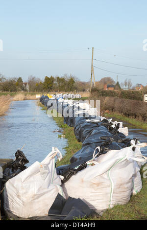 Le misure di difesa contro le inondazioni presso il villaggio di Burrowbridge nel Somerset il 8 febbraio 2014. A causa di alta piovosità, il fiume Parrett nuovi membri non è stata in grado di far fronte con il volume di acqua e si è allagata nei dintorni di terreni agricoli case lasciando sott'acqua. Qui i sacchi di sabbia e zavorra tentare di evitare la strada lungo il fiume che corre parallela al fiume Parrett nuovi membri dal diventare sommerso. Una grave alluvione avviso resta e alcuni occupanti sono state raccontate da evacuare. © Nick Cable/Alamy Live News Credito: Nick Cable/Alamy Live News Foto Stock