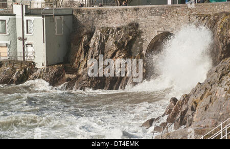 Plymouth, Devon, Regno Unito. 8 febbraio 2014. Venti forti e alte maree creare onde giganti e instabile dei mari, Plymouth Hoe, Devon, Inghilterra 8 febbraio 2014 Credit: Anna Stevenson/Alamy Live News Foto Stock