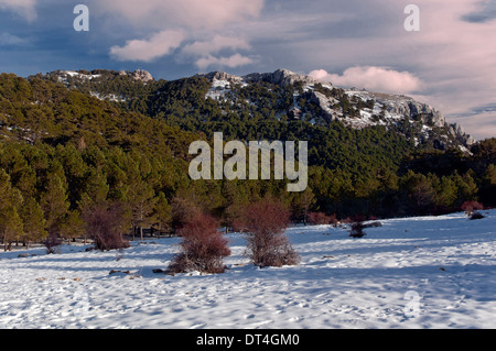 Paesaggio nevicato, Parco Naturale Sierras de Cazorla Segura y Las Villas, Jaen-provincia, regione dell'Andalusia, Spagna, Europa Foto Stock