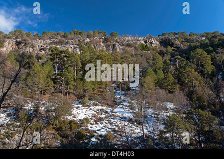 Paesaggio nevicato, Parco Naturale Sierras de Cazorla Segura y Las Villas, Jaen-provincia, regione dell'Andalusia, Spagna; Europa Foto Stock