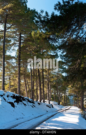 Paesaggio nevicato, Parco Naturale Sierras de Cazorla Segura y Las Villas, Jaen-provincia, regione dell'Andalusia, Spagna; l'Europa, Foto Stock