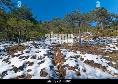 Paesaggio nevicato, Parco Naturale Sierras de Cazorla Segura y Las Villas, Jaen-provincia, regione dell'Andalusia, Spagna; Europa Foto Stock