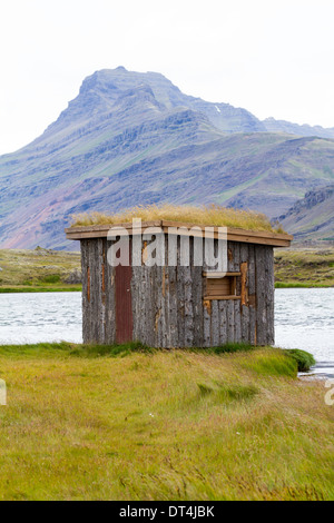 Bird nascondere a Djúpivogur zone umide, Islanda Foto Stock