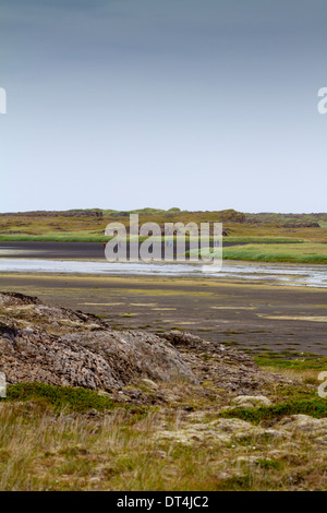 Gli amanti del birdwatching locale a Djúpivogur zone umide, Islanda Foto Stock