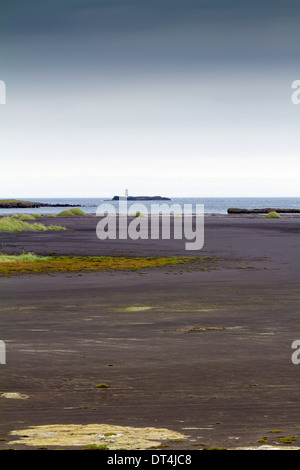 Djúpivogur zone umide, Islanda Foto Stock