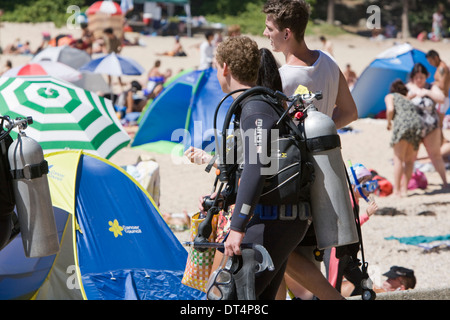 Subacqueo a shelly beach,manly,Sydney , Australia Foto Stock