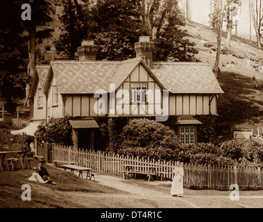 Mount Edgcumbe Park - cottage in legno di faggio - inizio novecento Foto Stock