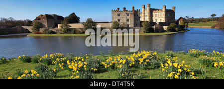 La molla Daffodil fiori al Castello di Leeds Kent England Regno Unito Foto Stock