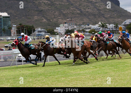 Corse di cavalli a Champs de Mars, Port Louis, Mauritius. Foto Stock