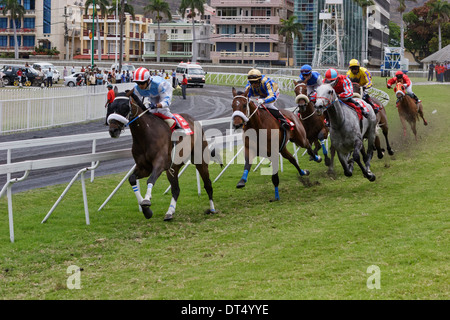 Corse di cavalli a Champs de Mars, Port Louis, Mauritius. Foto Stock