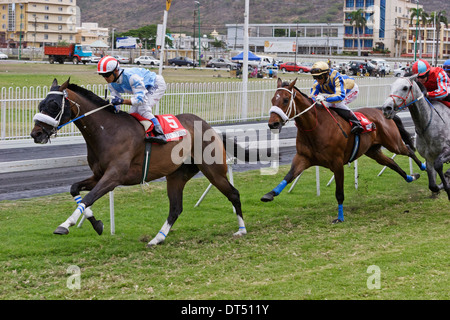 Corse di cavalli a Champs de Mars, Port Louis, Mauritius. Foto Stock