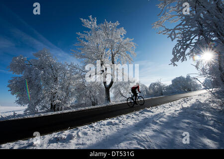 Krasny Les, Repubblica Ceca. 26 gen 2014. Racing ciclista Tino Zieger cicli attraverso il bianco paesaggio invernale dei Monti Metalliferi vicino a Krasny Les, Repubblica ceca, 26 gennaio 2014. (Modello rilasciato) Foto: Arno Burgi/dpa/Alamy Live News Foto Stock