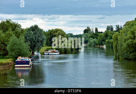 Barche a motore ormeggiate lungo il fiume Tamigi, visto dal Ponte a Wallingford, Oxfordshire, Inghilterra, Gran Bretagna. Foto Stock