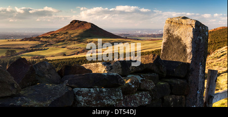 Grande AYTON MOOR. Foto Stock