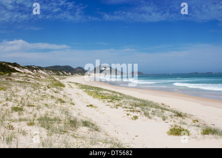 Dalla spiaggia del Faro con il faro in distanza e le dune di sabbia in primo piano Seal Rocks New South Wales NSW Australia Foto Stock