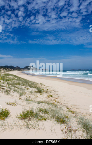 Dalla spiaggia del Faro con il faro in distanza e le dune di sabbia in primo piano Seal Rocks New South Wales NSW Australia Foto Stock