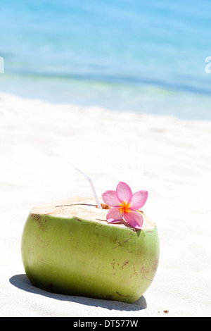 Tropical cocco fresco cocktail decorata plumeria sulla spiaggia bianca Foto Stock